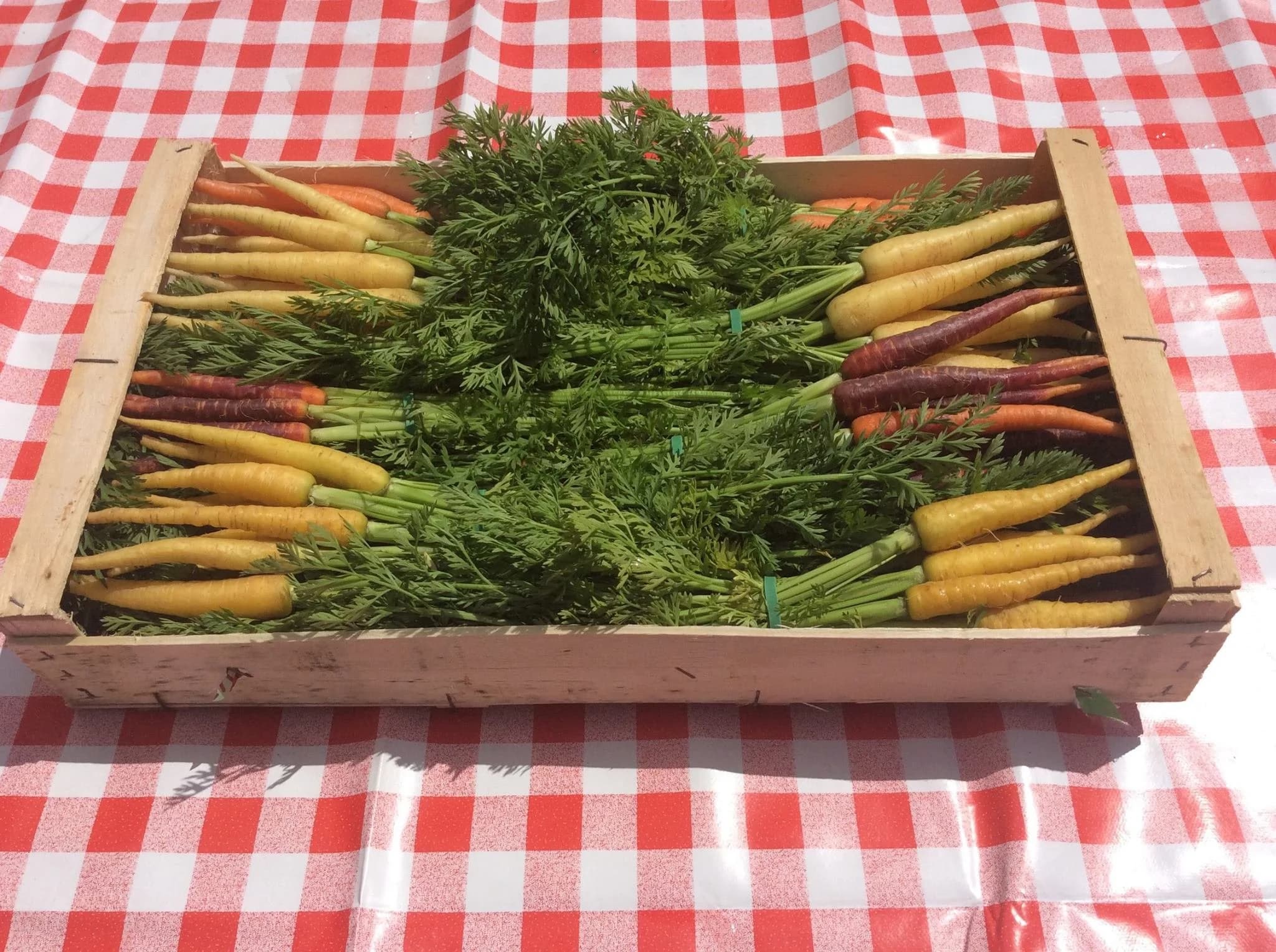 Mandarijnen en wortelen in houten kisten op rood-wit geblokt kleed